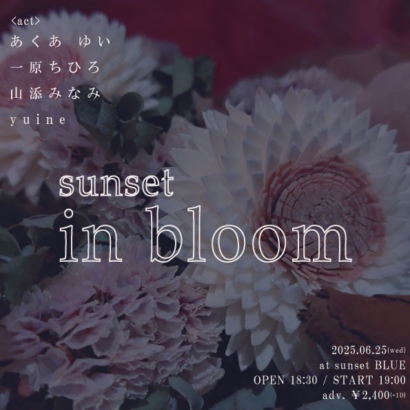 あくあ ゆい /一原ちひろ /山添みなみ /yuine